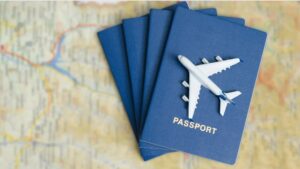 Emergency Passport Situation